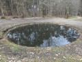 Mare aux poissons rouges
