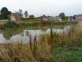 Mare communale