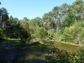 Mare du Bois des Landes de Folive Mare du Bois des Landes de Folive