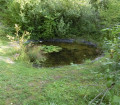 Mare pédagogique