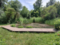 Les lônes du Rhône entre Grigny et Millery
