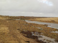 Entre mer et campagne à Larmor-Pleubian Entre mer et campagne à Larmor-Pleubian