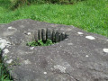 Margelle de puits