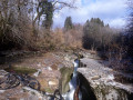 Boucle entre lacs et le Séran au départ de Saint-Martin-de-Bavel