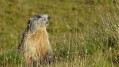 Die Wanderung zu vier Gletscherseen