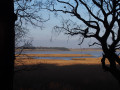 Marshes by Deadman's Covert