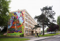 Les fresques de Rouen Les fresques de Rouen