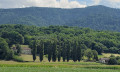 Mas dans les vignobles
