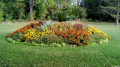 Massif de fleurs Massif de fleurs