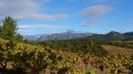 Massif du Caroux