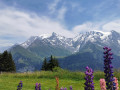 Massif du Mont Blanc - vu depuis le Porcherey