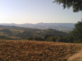 Massif du Pilat vu du chemin des Pins
