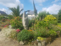 Massif fleuri