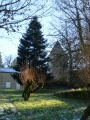 Massuguiès
