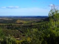 Méditerranée, Mont St Clair