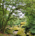 Balade en Forêt de Huelgoat