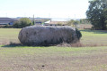 Menhir couché du Plessis