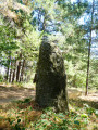 Menhir à Peyre Grosse