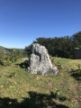 Bidango Gaña Bidango Gaña