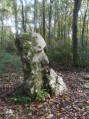 Menhir du Grand Berger Menhir du Grand Berger