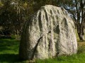 Menhir du Treustel