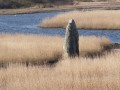 Menhir mouillé du Léhan