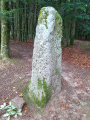 Menhir ou Pierre de Saint Desle
