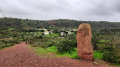 Menhir sur le circuit mégalithique