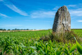 Menhir