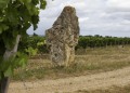 Entre bois et vignes à Sainte-Radegonde