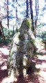 Menhir