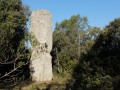 Die Corniche de l'Hortus