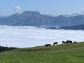 Mer de nuages au dessus du lac d'Annecy (vue du plateau du Semnoz)