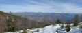 Mercantour depuis la forêt