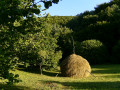 Collines de Salva à Zagra