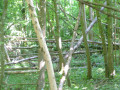 Mikado géant Mikado géant