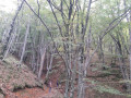 milieu de l'aventure