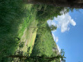 Miller's Dale & Cressbrook Dale from Tideswell Dale