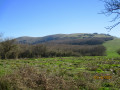 Milobre de Bouisse