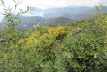 La Panoramique de Malatra La Panoramique de Malatra