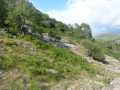 Mine workings above Hartsop Hall