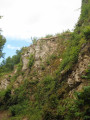 minéral et végétal