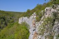 Minéral et végétal Minéral et végétal