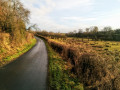 Minor road outside Knockentiber