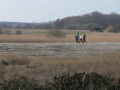 Minsmere New Bank