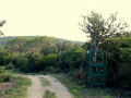 Mirador pour la chasse au sanglier Mirador pour la chasse au sanglier