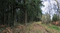 Le Chemin des Diligences à Monléon-Magnoac Le Chemin des Diligences à Monléon-Magnoac
