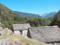 Monastei