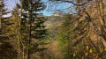 Monastère à travers les arbres