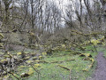 Chee Dale, Worm Hill and Monks Dale circular